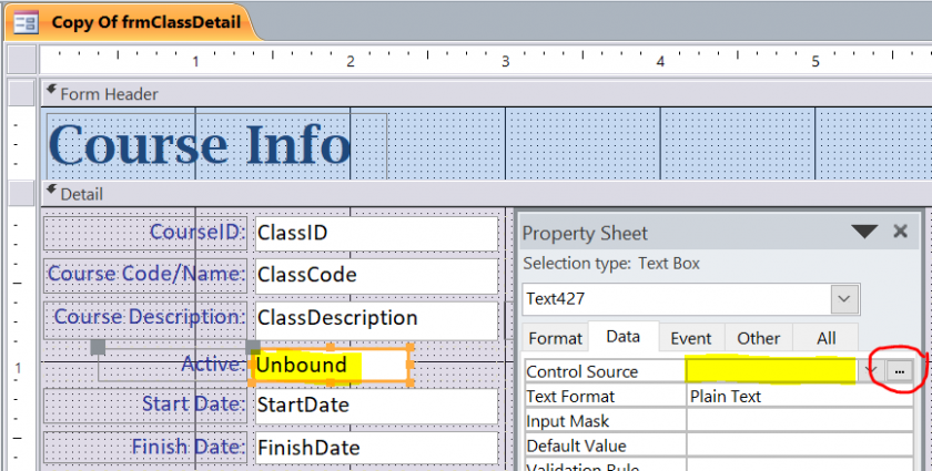 How to Display Yes or No for Yes/No Data Type Field – iAccessWorld.com